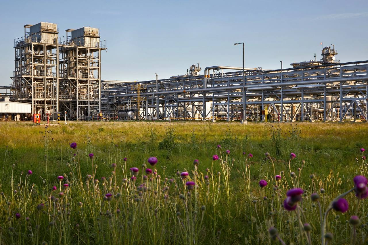 Биоразнообразие и экология Карачаганака